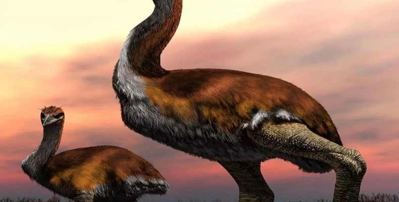 Το μεγαλύτερο πουλί που έζησε ποτέ στη Γη